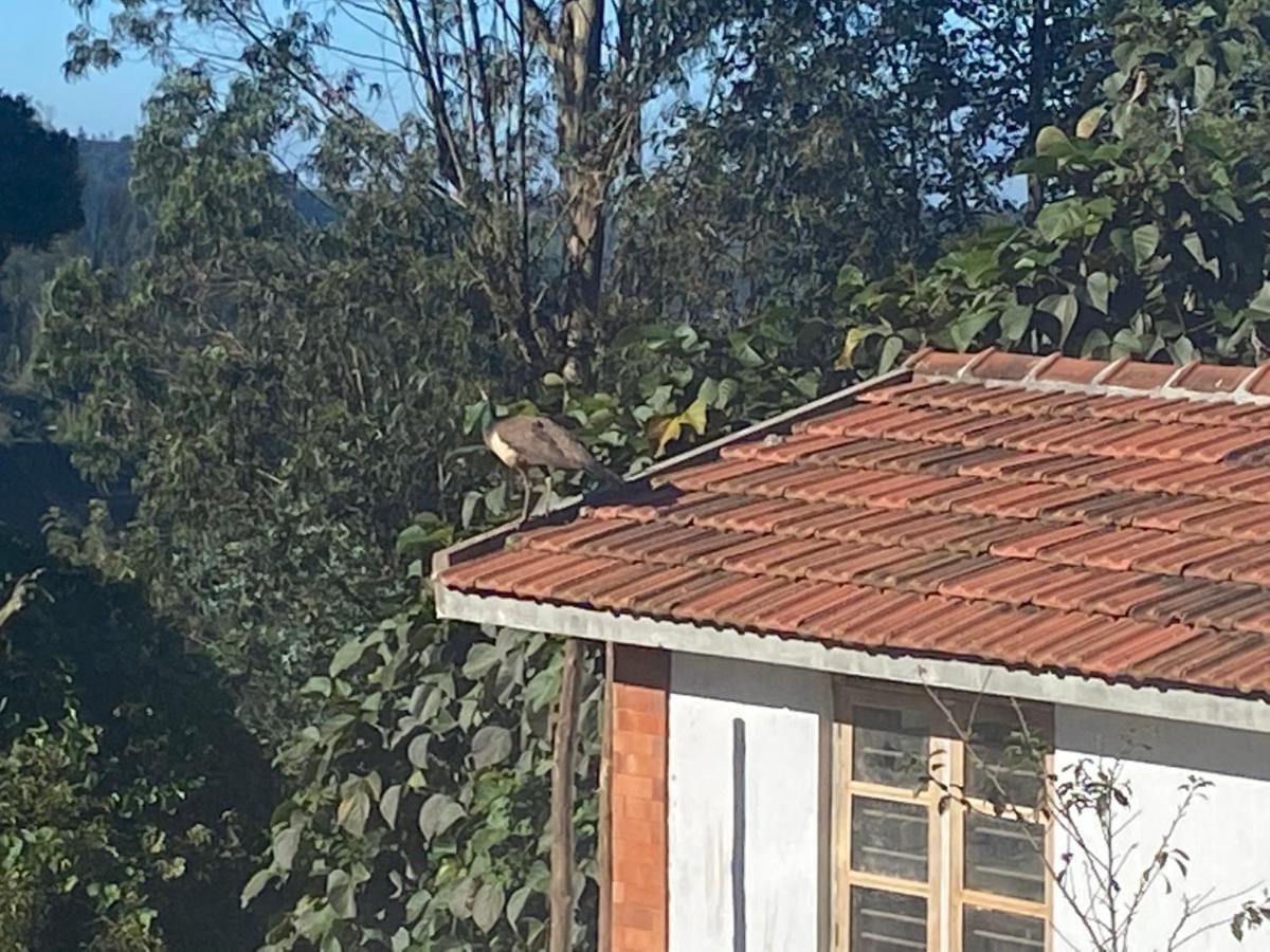 Kanjira House Ooty Dış mekan fotoğraf