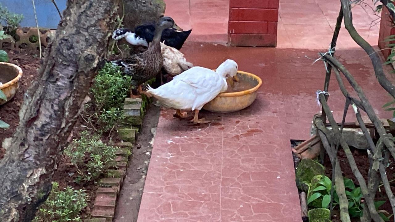 Kanjira House Ooty Dış mekan fotoğraf