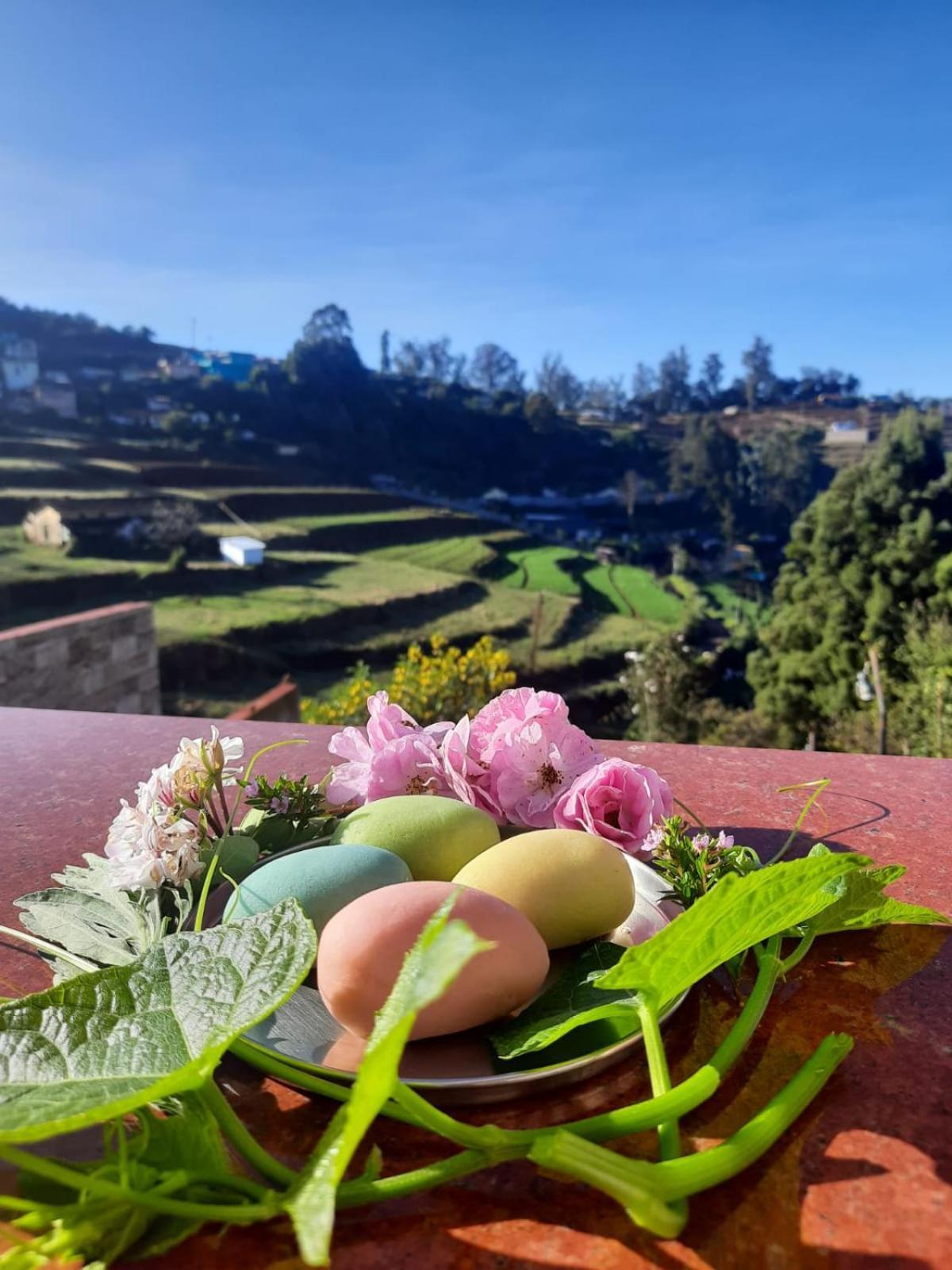 Kanjira House Ooty Dış mekan fotoğraf