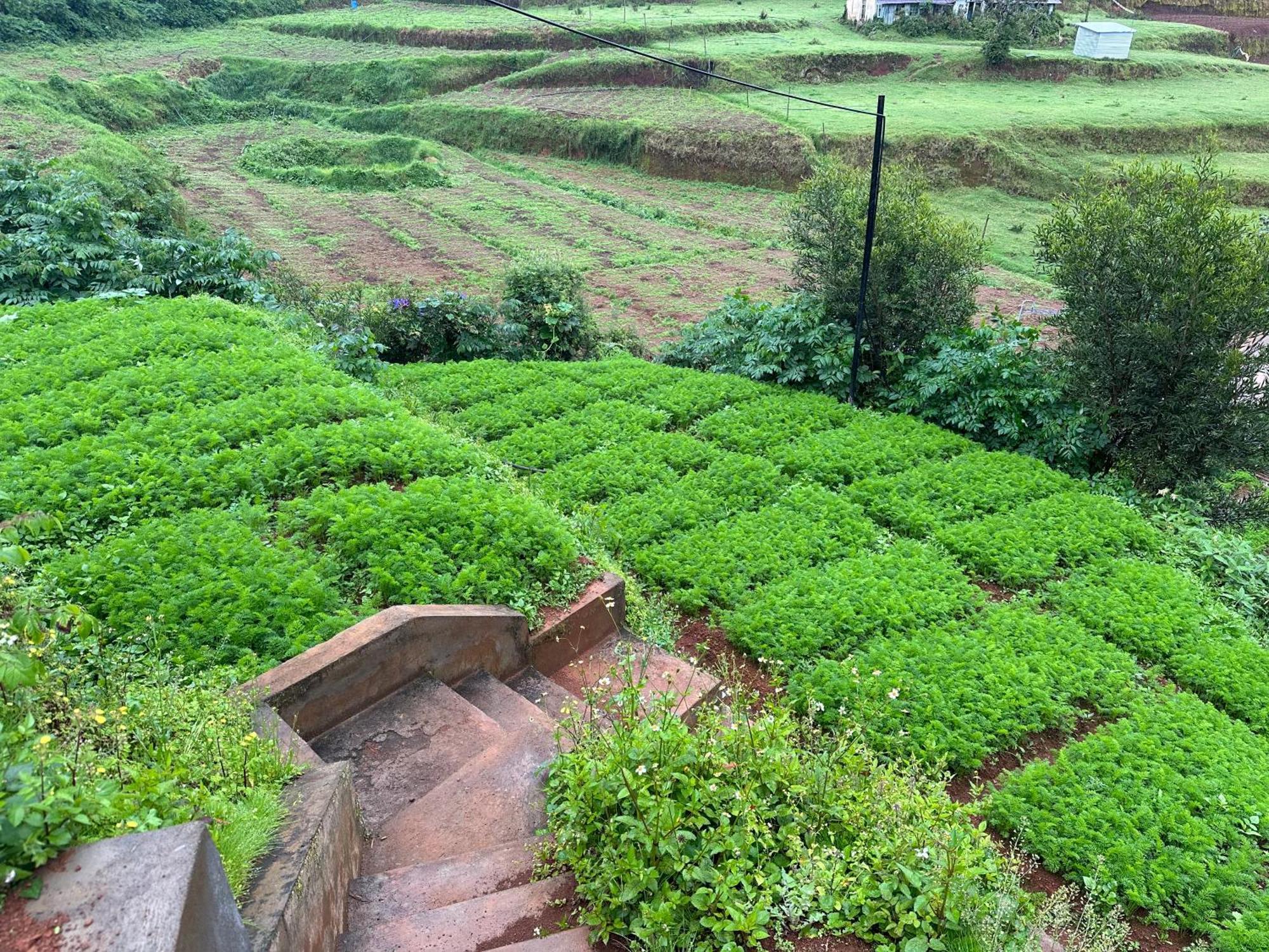 Kanjira House Ooty Dış mekan fotoğraf