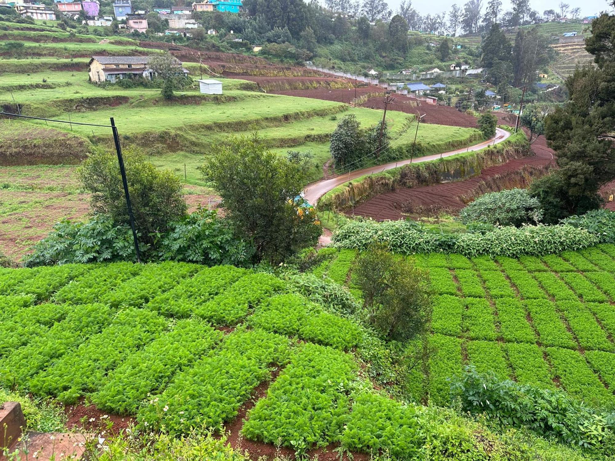 Kanjira House Ooty Dış mekan fotoğraf